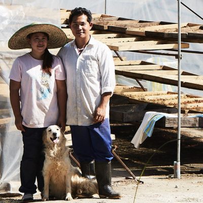 タイのコーヒー生産者