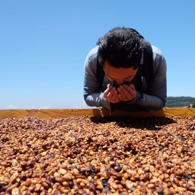 コーヒー 精製方法